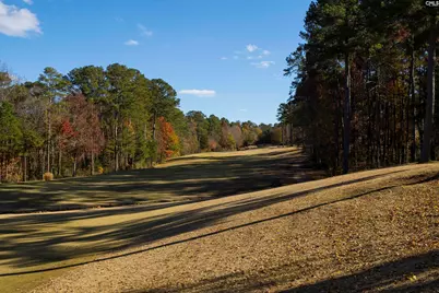 109 High Pointe Drive, Blythewood, SC 29016 - Photo 84