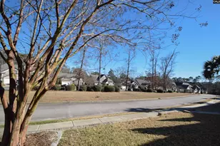 226 Thacher Loop, Elgin, SC 29045 - Photo 80