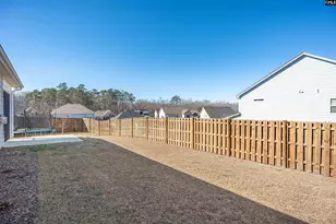 117 Sterling Hl Wy, Lexington, SC 29072 - Photo 44