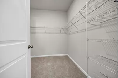 445 Leathertree Lane, Blythewood, SC 29016 - Photo 24