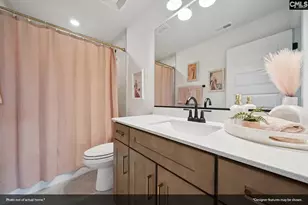 414 Rising Stream Wy, Chapin, SC 29036 - Photo 24