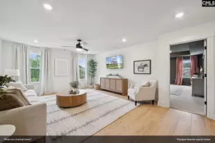 414 Rising Stream Wy, Chapin, SC 29036 - Photo 4