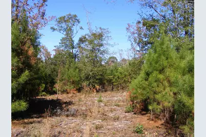 149 Branham Branch Road, Swansea, SC 29160 - Photo 4