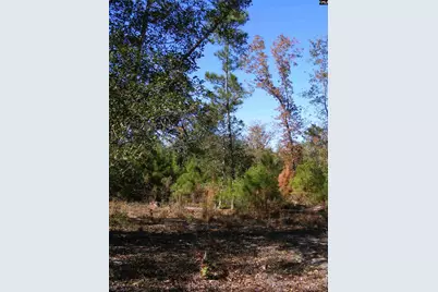 149 Branham Branch Road, Swansea, SC 29160 - Photo 10