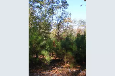 149 Branham Branch Road, Swansea, SC 29160 - Photo 6