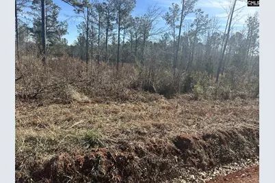 0 Morris Road, Prosperity, SC 29127 - Photo 8