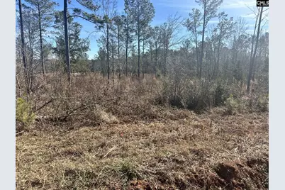 0 Morris Road, Prosperity, SC 29127 - Photo 6