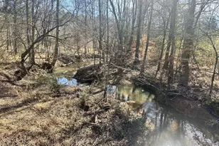 0 Morris Rd, Prosperity, SC 29127 - Photo 1