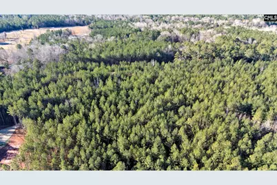 1651 Little Cedar Creek Road, Blythewood, SC 29016 - Photo 14