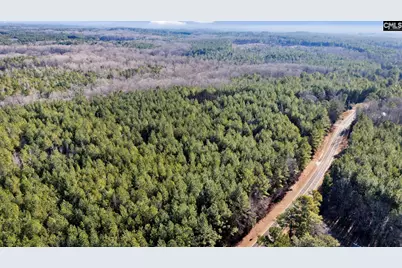 1651 Little Cedar Creek Road, Blythewood, SC 29016 - Photo 18