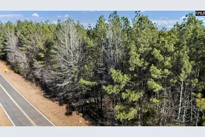 1651 Little Cedar Creek Road, Blythewood, SC 29016 - Photo 8