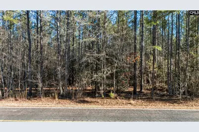1651 Little Cedar Creek Road, Blythewood, SC 29016 - Photo 6