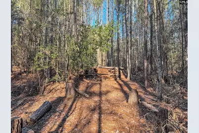 1651 Little Cedar Creek Road, Blythewood, SC 29016 - Photo 2