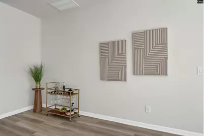 204 Carillo Drive, Columbia, SC 29223 - Photo 8