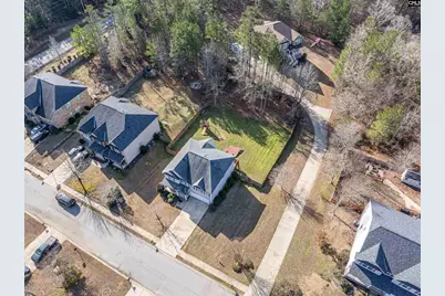 409 Maypop Lane, Irmo, SC 29063 - Photo 46