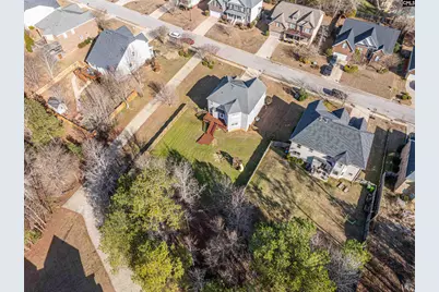 409 Maypop Lane, Irmo, SC 29063 - Photo 46