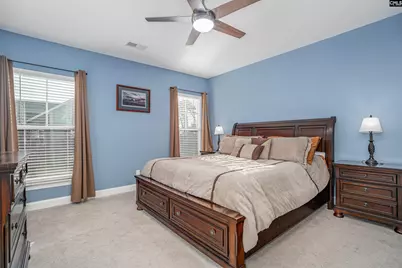 324 Brenthaven Drive, Chapin, SC 29036 - Photo 14