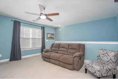 324 Brenthaven Drive, Chapin, SC 29036 - Photo 28