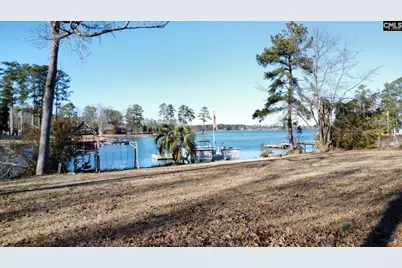 201 Old Cedar Point Road, Chapin, SC 29036 - Photo 24