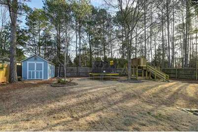 624 Sea Doo Drive, Chapin, SC 29036 - Photo 28
