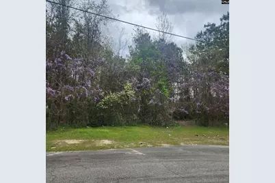6430 Norris Street, Columbia, SC 29209 - Photo 2