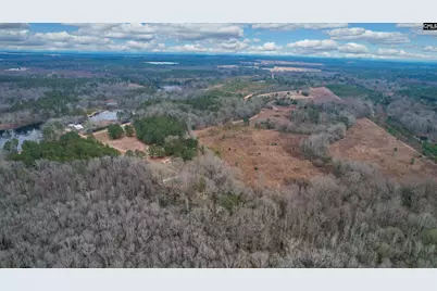 0 Swamp Rabbit Road, Leesville, SC 29070 - Photo 20