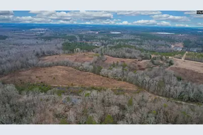 0 Swamp Rabbit Road, Leesville, SC 29070 - Photo 28