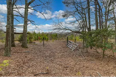 0 Swamp Rabbit Road, Leesville, SC 29070 - Photo 40