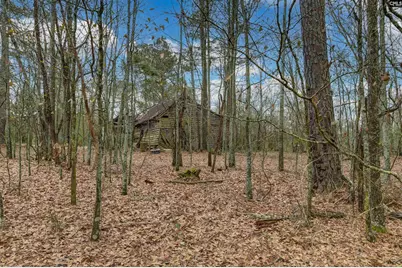 0 Swamp Rabbit Road, Leesville, SC 29070 - Photo 46