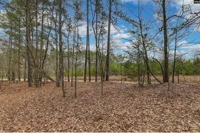 0 Swamp Rabbit Road, Leesville, SC 29070 - Photo 44