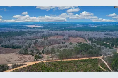 0 Swamp Rabbit Road, Leesville, SC 29070 - Photo 6