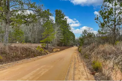 0 Swamp Rabbit Road, Leesville, SC 29070 - Photo 50