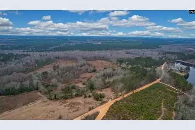 0 Swamp Rabbit Road, Leesville, SC 29070 - Photo 34