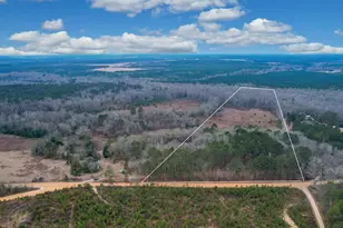 0 Swamp Rabbit Rd, Leesville, SC 29070 - Photo 1