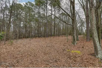 0 Swamp Rabbit Road, Leesville, SC 29070 - Photo 48