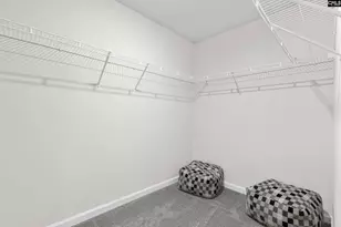 143 Calm Citadel Dr, Pelion, SC 29123 - Photo 20