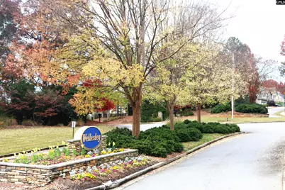 312 Ashmore Lane, Lexington, SC 29072 - Photo 24