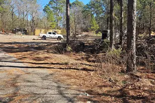 257 Irvin Jumper St, Gaston, SC 29053 - Photo 4