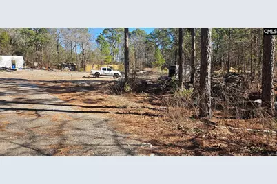 257 Irvin Jumper Road, Gaston, SC 29053 - Photo 1