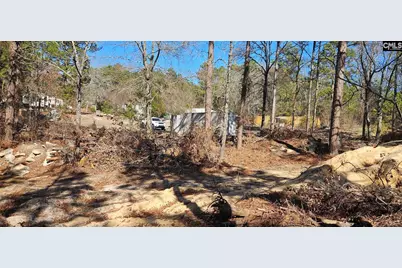 257 Irvin Jumper Street, Gaston, SC 29053 - Photo 2
