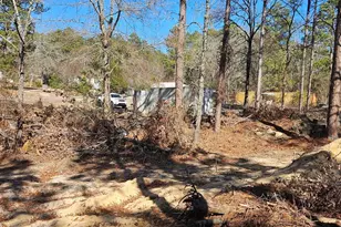 257 Irvin Jumper St, Gaston, SC 29053 - Photo 2