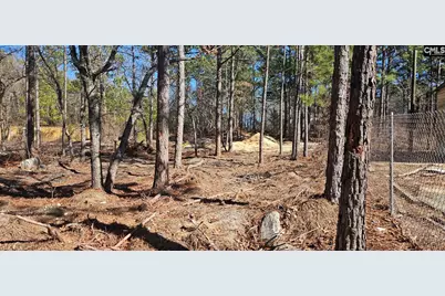 257 Irvin Jumper Road, Gaston, SC 29053 - Photo 6