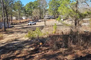 257 Irvin Jumper St, Gaston, SC 29053 - Photo 1