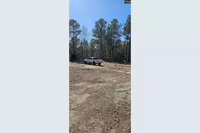 257 Irvin Jumper Road, Gaston, SC 29053 - Photo 2