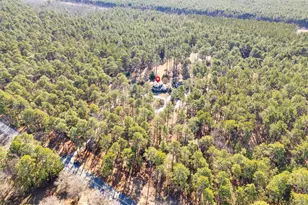 205 Peck Woods Rd, Camden, SC 29020 - Photo 58
