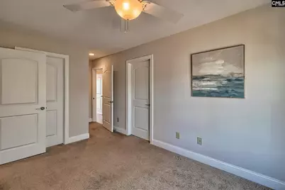 278 Pintail Lake Drive, Gilbert, SC 29054 - Photo 28