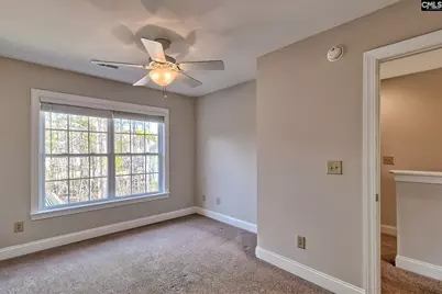 278 Pintail Lake Drive, Gilbert, SC 29054 - Photo 30