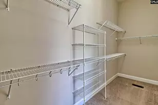 278 Pintail Lake Dr, Gilbert, SC 29054 - Photo 24