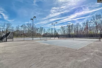 278 Pintail Lake Drive, Gilbert, SC 29054 - Photo 46