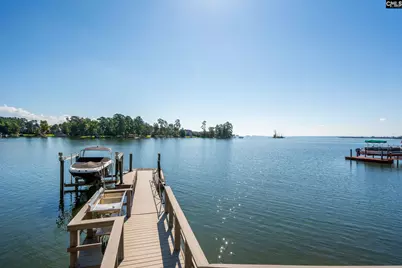 249 Pointe Overlook Drive, Chapin, SC 29036 - Photo 52